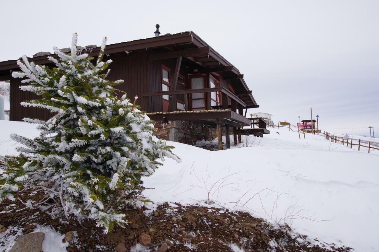 El Colorado Bungalows Exteriér fotografie